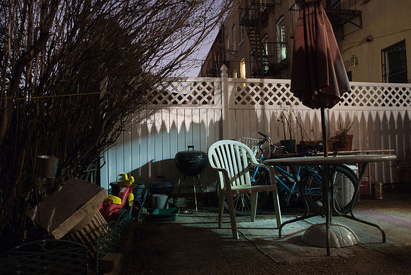 The Stages of Life  - As viewed in a Greenpoint backyard, March 2010