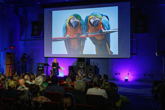 2025-03 Pecha Kucha_394